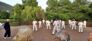 Tai Chi Chuan a Brescia saggio di fine anno